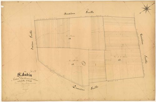 Saint-Aubin, section D dite du Chemin d'Orléans, feuille n° 5