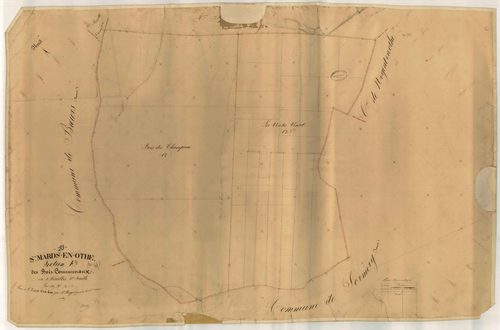 Saint-Mards-en-Othe, section F dite des Bois Communaux, feuille n° 5
