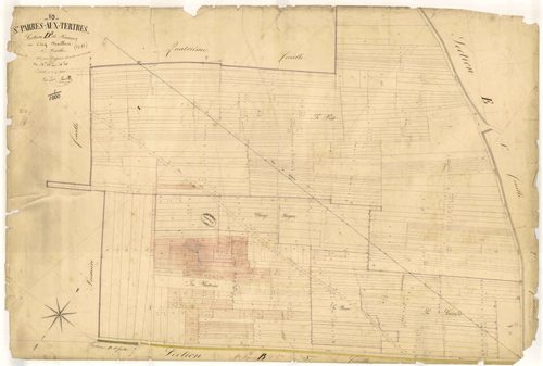 Saint-Parres-aux-Tertres, section D dite de Panais, feuille n° 5, parcelles n° 873-1265