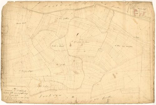 Saint-Thibault, section D dite de Pied de Loup, feuille n° 2, parcelles n° 124-548