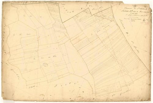 Saint-Thibault, section F dite de Bois Maison, feuille n° 1, parcelles n° 1-194
