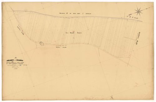 Soligny-les-Etangs, section C dite de la Côte Saint-Léger, feuille n° 5