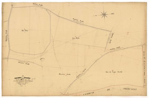Soligny-les-Etangs, section D dite du Bois Dieu, feuille n° 3 et section D dite du Bois Dieu, feuille n° 11