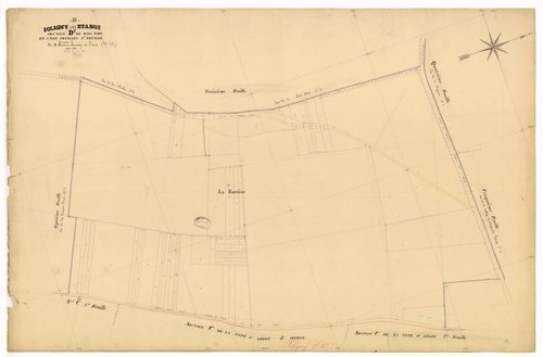 Soligny-les-Etangs, section D dite du Bois Dieu, feuille n° 6