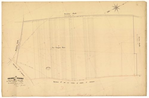 Soligny-les-Etangs, section D dite du Bois Dieu, feuille n° 7