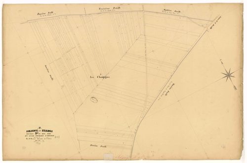 Soligny-les-Etangs, section D dite du Bois Dieu, feuille n° 8