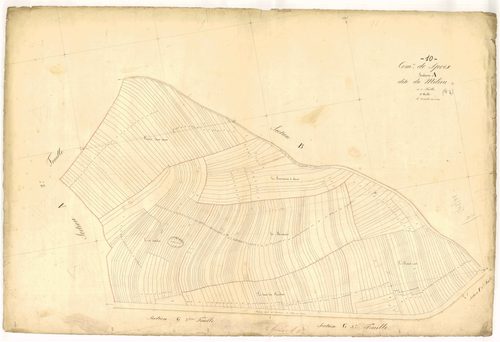 Spoy, section A dite du Milieu, feuille n° 3