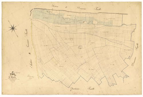 Thil, section D dite de Moimont, feuille n° 1, parcelles n° 1-594