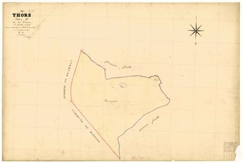 Thors, section D dite des Traces, feuille n° 2, parcelles n°61