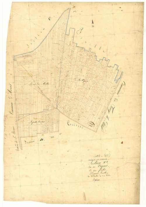 Torcy-le-Grand, section C dite des Vignes, feuille n° 2