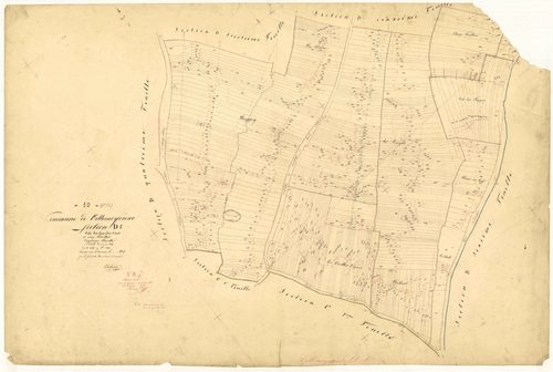 Villemoyenne, section D dite des grandes voies, feuille n°5, parcelles n° 2444-3111