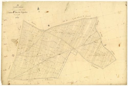 Villiers-Herbisse, section F dite des vignettes