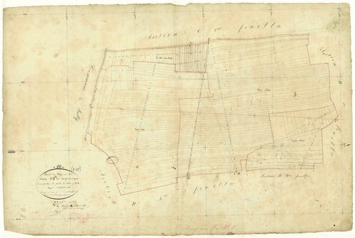 Virey-sous-Bar, section D dite des grandes vignes, feuille n°3, parcelles n° 681-867