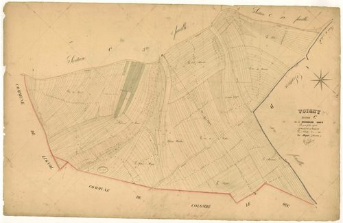 Voigny, section C dite de dardenne haut, feuille n°2, parcelles n°290-659