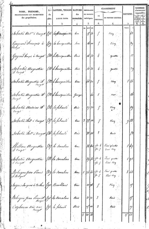 Brusque