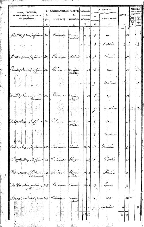 Montagnol