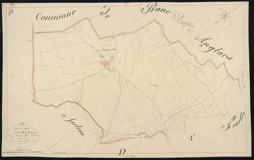 Palmas