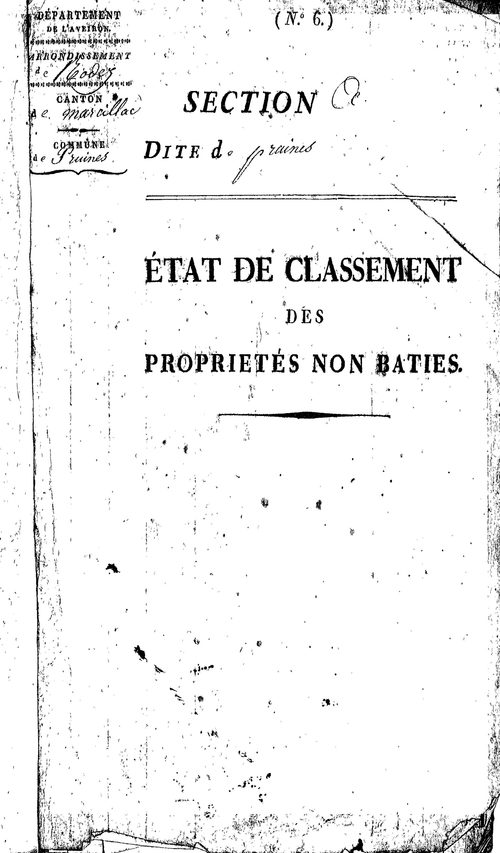 Pruines