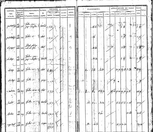 Pruines