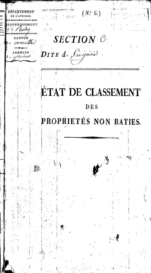 Pruines