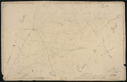 Tauriac-de-Naucelle