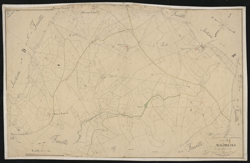 Tauriac-de-Naucelle