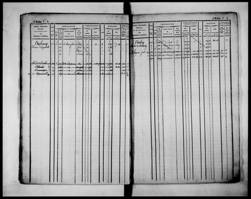 matrice cadastrale des propriétés foncières (bâties et non bâties)