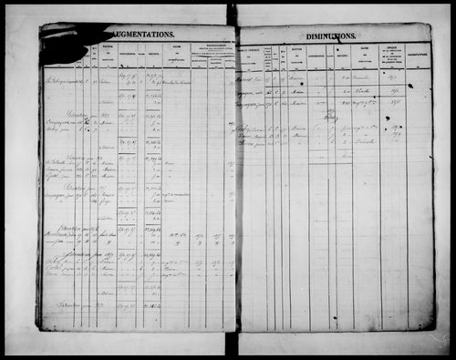 matrice cadastrale des propriétés foncières (bâties et non bâties)