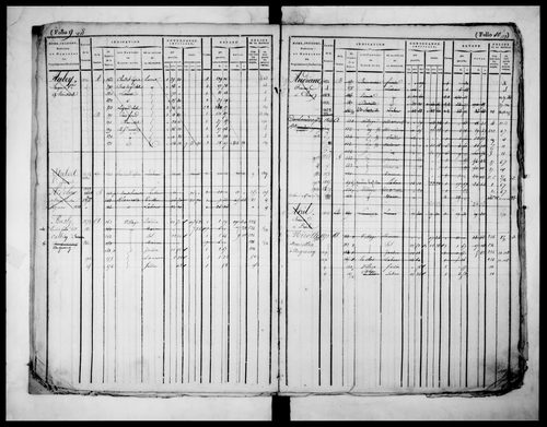 matrice cadastrale des propriétés foncières (bâties et non bâties)