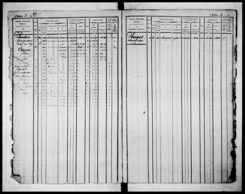 matrice cadastrale des propriétés foncières (bâties et non bâties)