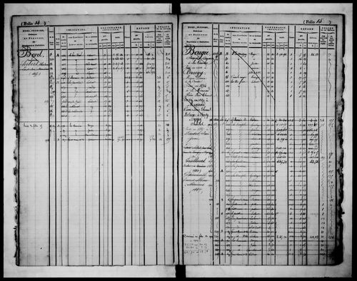 matrice cadastrale des propriétés foncières (bâties et non bâties)