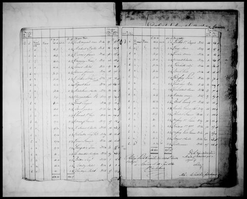 matrice cadastrale des propriétés foncières (bâties et non bâties)