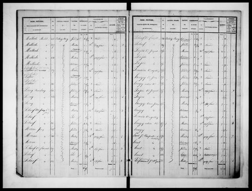 état de section (1832)