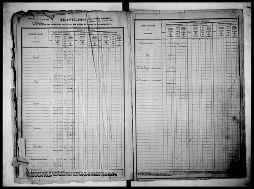 Table alphabétique des propriétaires (propriétés non bâties)