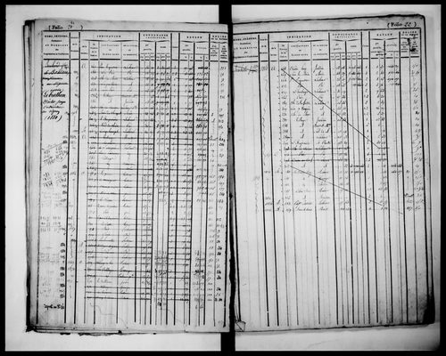matrice cadastrale des propriétés foncières (bâties et non bâties)