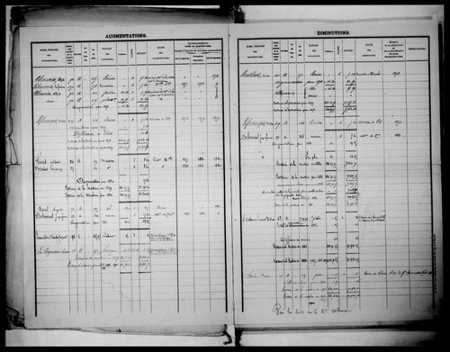 matrice cadastrale des propriétés foncières (bâties et non bâties), 1822-1913, 2e vol. (folios 216-267)