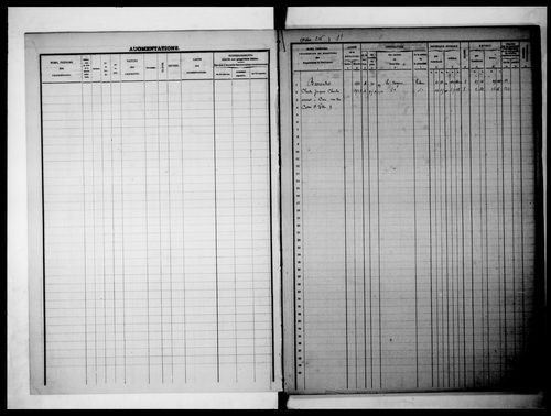 matrice cadastrale des propriétés foncières (bâties et non bâties), 1822-1913, 2e vol. (folios 216-267)
