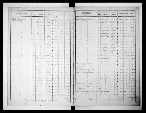 état de section