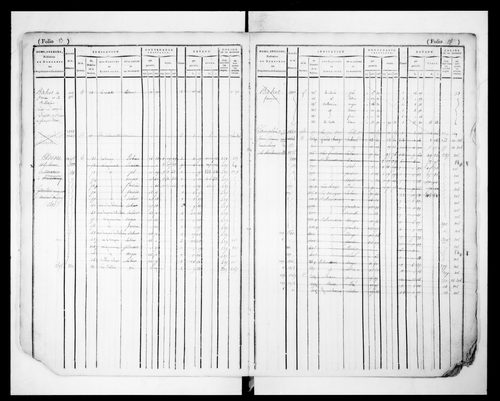 matrice cadastrale des propriétés foncières (bâties et non bâties)