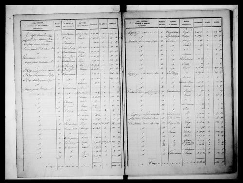 état de section