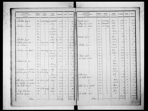 état de section