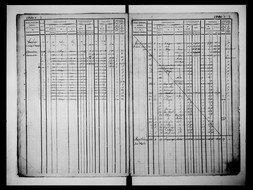 matrice cadastrale des propriétés foncières (bâties et non bâties)