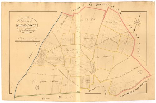 Section C2 du Bois Halbout