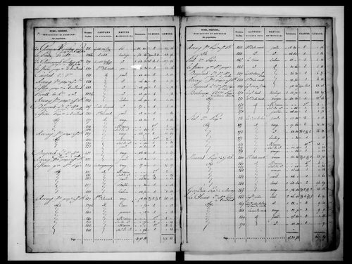 état de section (1827)