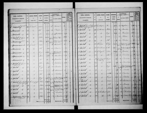 état de section (1835)