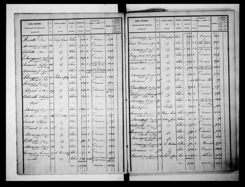 état de section