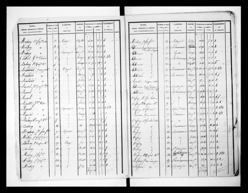 état de section (1824)