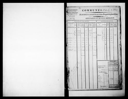 matrice cadastrale des propriétés foncières (bâties et non bâties)