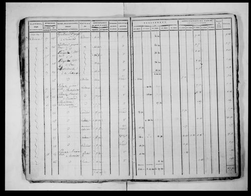 état de section (1817)