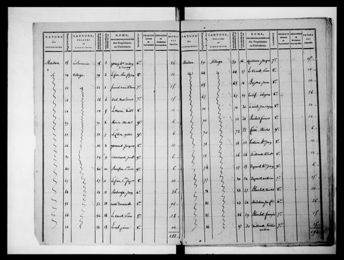 état de section